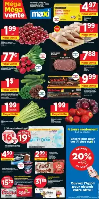 Maxi flyer