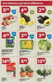 Rachelle-Bery Grocery flyer week 28 Page 3