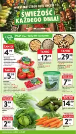 Intermarche gazetka tydzień 28 Strona 10
