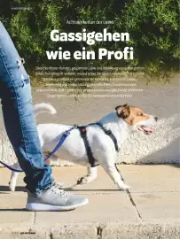 Das Futterhaus Prospekt Seite 16