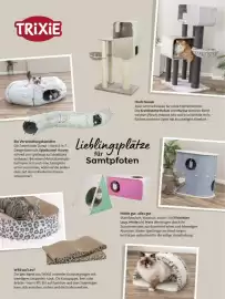 Das Futterhaus Prospekt Seite 20