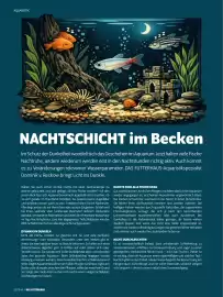 Das Futterhaus Prospekt Seite 40