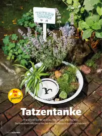 Das Futterhaus Prospekt Seite 42
