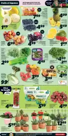 IGA flyer week 28 Page 3