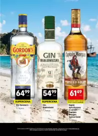 Delikatesy Centrum gazetka | Alkohole Strona 17