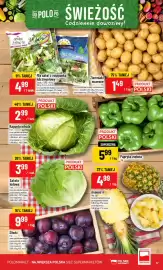 Polomarket gazetka tydzień 28 Strona 17
