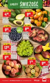 Polomarket gazetka tydzień 28 Strona 19