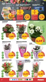Catalog Penny săptămâna 28 Pagină 7