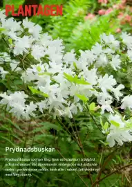 Plantagen annonsblad Sida 1