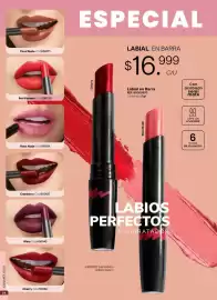 Catálogo Marketing Personal Página 24