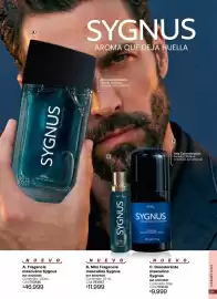 Catálogo Marketing Personal Página 39