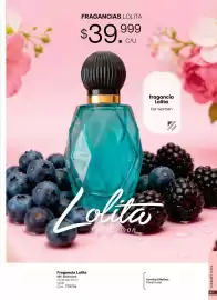Catálogo Marketing Personal Página 41