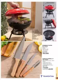 Catálogo Marketing Personal Página 67