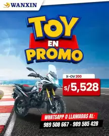 Catálogo Wanxin Página 1
