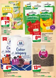 Dino gazetka tydzień 28 Strona 13