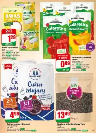 Dino gazetka tydzień 28 Strona 13
