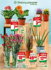 Dino gazetka tydzień 28 Strona 56