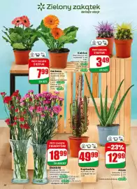Dino gazetka tydzień 28 Strona 56