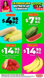 Folleto HEB semana 28 Página 1