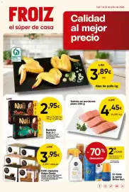 Folleto FROIZ Página 1