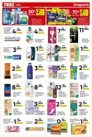 Folleto FROIZ Página 19