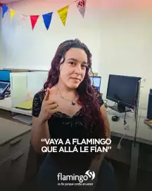 Catálogo Flamingo Página 1