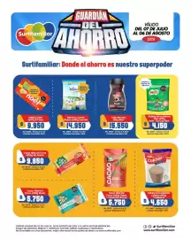 Catálogo Surtifamiliar Página 2