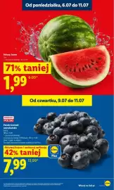 Lidl gazetka Strona 13