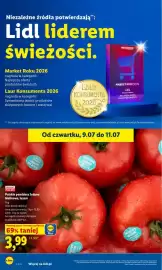Lidl gazetka Strona 42