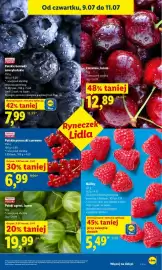 Lidl gazetka Strona 43