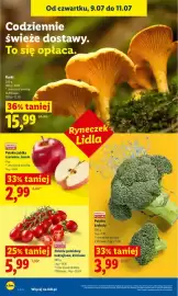 Lidl gazetka Strona 44