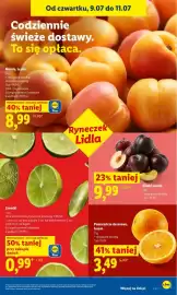 Lidl gazetka Strona 45
