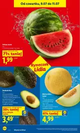 Lidl gazetka Strona 46