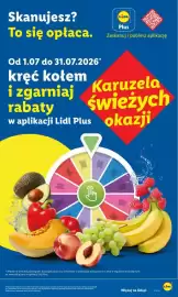 Lidl gazetka Strona 47