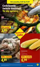 Lidl gazetka Strona 49