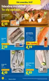 Lidl gazetka Strona 62