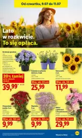 Lidl gazetka Strona 85