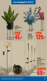 Lidl tilbudsavis | Non-Food Side 13