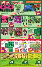 Catalogue Norma semaine 29 page 4