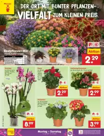 Netto Marken-Discount Prospekt woche 29 Seite 40