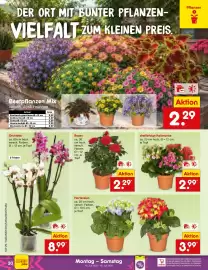 Netto Marken-Discount Prospekt woche 29 Seite 40