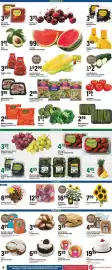 Big Y flyer week 28 Page 9