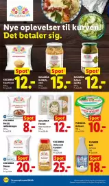 Lidl tilbudsavis uge 29 Side 13