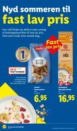 Lidl tilbudsavis uge 29 Side 17