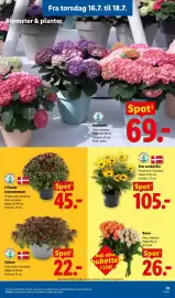 Lidl tilbudsavis uge 29 Side 34
