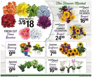 Shaw's flyer Page 6