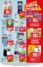 Catalog PROFI Pagină 13