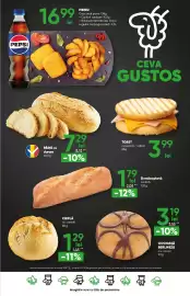 Catalog PROFI Pagină 19