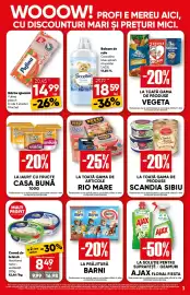 Catalog PROFI Pagină 3