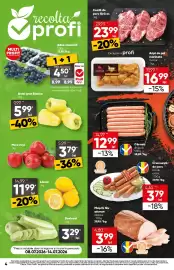 Catalog PROFI Pagină 4